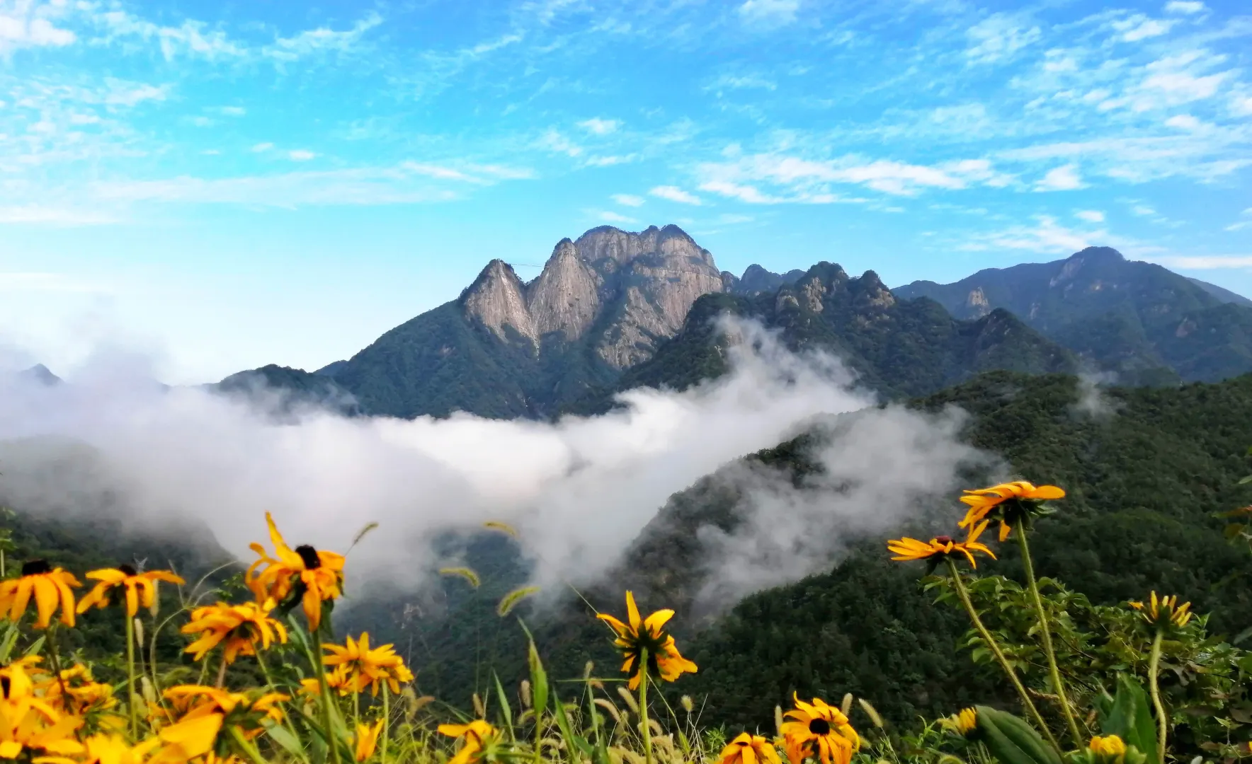 岳西明堂山一日游